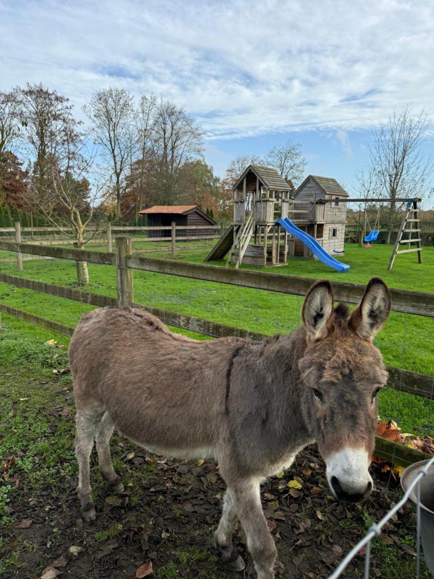 Hoeve Chartreuse Bruges Esterno foto